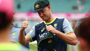 展现出了这 展现出了这